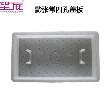 Qian Zhangchang four hole cover